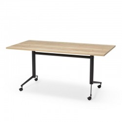 Verrijdbare en kantelbare klaptafel 160 x80
